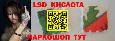 прущие грибы Ангарск