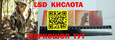 прущие грибы Ангарск