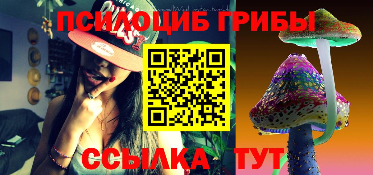 Псилоцибиновые грибы мицелий  Вход с VPN  Павлово 